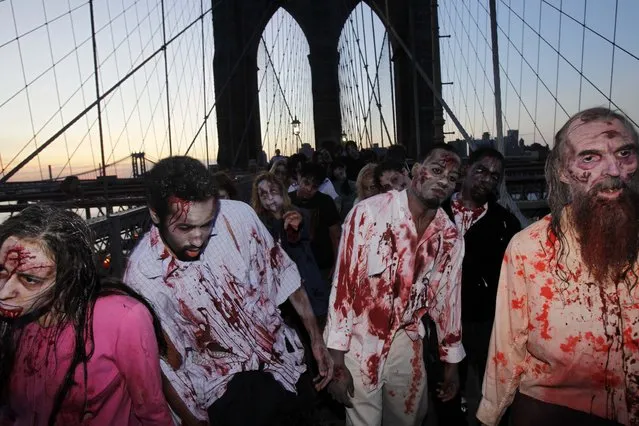 Costumed actors, promoting the Halloween premiere of the AMC television series “The Walking Dead”, shamble along the Brooklyn Bridge while posing for pictures in New York, in this October 26, 2010 file photo. Clemson University English professor Sarah Lauro says people are more interested in zombies when they're dissatisfied with society as a whole. As of last year, Lauro said, zombie walks had been documented in 20 countries. The largest gathering drew more than 4,000 participants at the New Jersey Zombie Walk in Asbury Park, N.J., in October 2010, according to the Guinness World Records. (Photo by Seth Wenig/AP Photo)