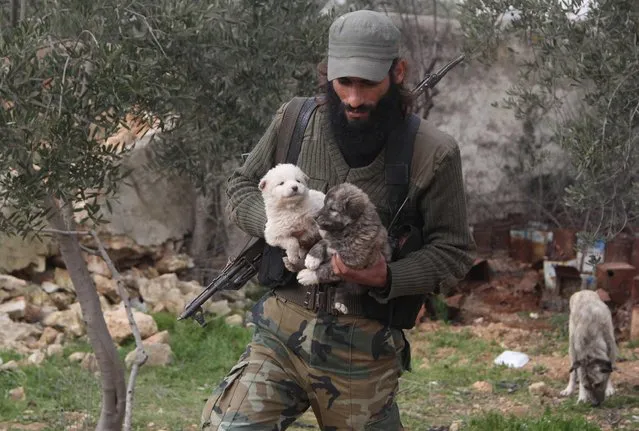 “Free Syrian Army” fighter Ahmed al-Hussein carries puppies near the frontline against forces loyal to Syria's President Bashar al-Assad in Aziza village in the southern countryside of Aleppo January 28, 2015. Hussein, 31, said he takes care of all the dogs living in the area. (Photo by Hosam Katan/Reuters)