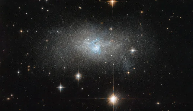 A Hubble Space Telescope image shows bright blue gas threading through the galaxy IC 4870, which shines because it emits radio wave and gamma-ray radiation, in this image obtained September 26, 2018. (Photo by NASA/ESA/Hubble Space Telescope/Handout via Reuters)