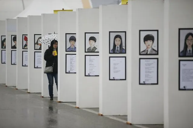 A mourner looks at pictures of victims from the sunken ferry Sewol at the official memorial altar for the victims in Ansan on the occasion of the first anniversary of the ferry disaster that killed more than 300 passengers, April 16, 2015. (Photo by Kim Hong-Ji/Reuters)