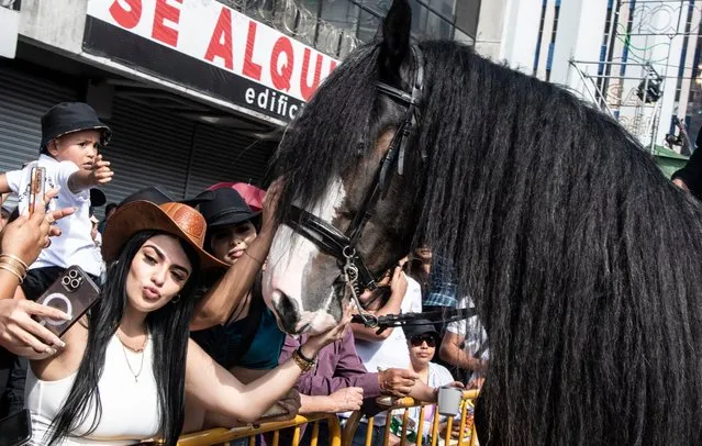 People caress a horse during the traditional “El Tope” end-of-year parade in San Jose on December 26, 2023. Cowboy hats and boots, in the purest “wild west” style, flooded the streets of downtown San José to proudly display the horse culture in Costa Rica. (Photo by Ezequiel Becerra/AFP Photo)