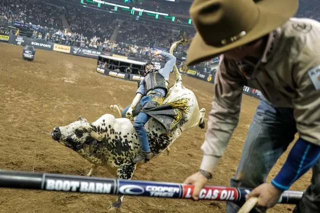 Felipe Furlan of Brazil rides “Sly” during the 2024 PBR Unleash the Beast at Madison Square Garden in New York on January 7, 2024. (Photo by Charly Triballeau/AFP Photo)
