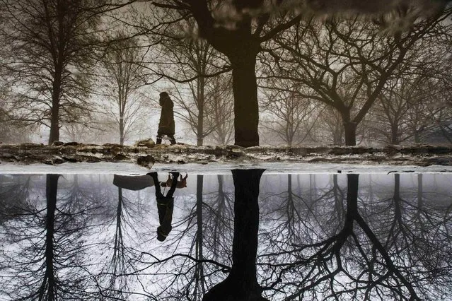 A woman is reflected in a puddle from rain and melted ice as she walks her dog in Toronto. (Photo by Mark Blinch/Reuters)