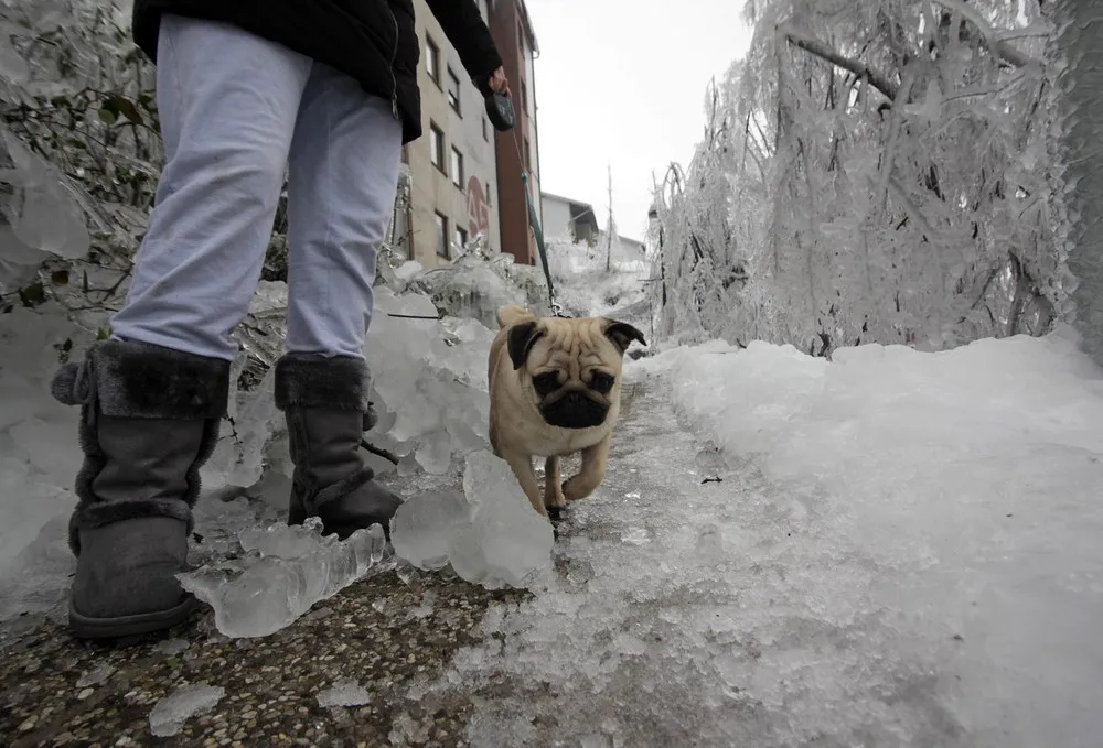 Freezing Rain in Slovenia