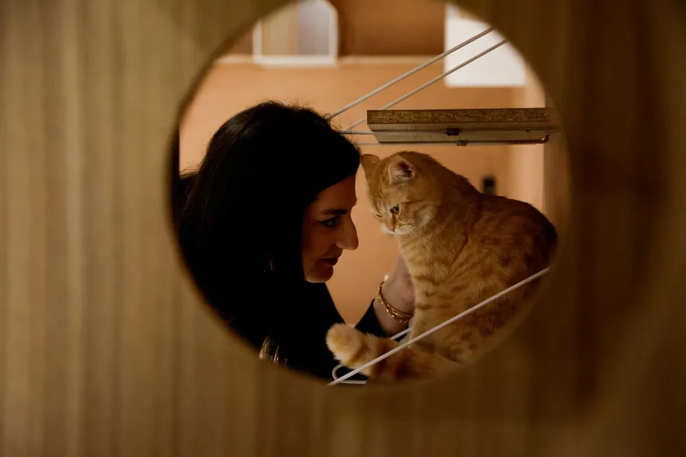 A Look at Life in Iraq