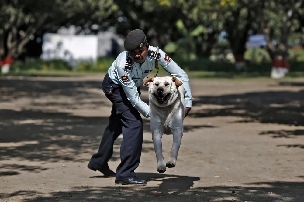 The Week in Pictures: Animals, March 1 – March 7, 2014
