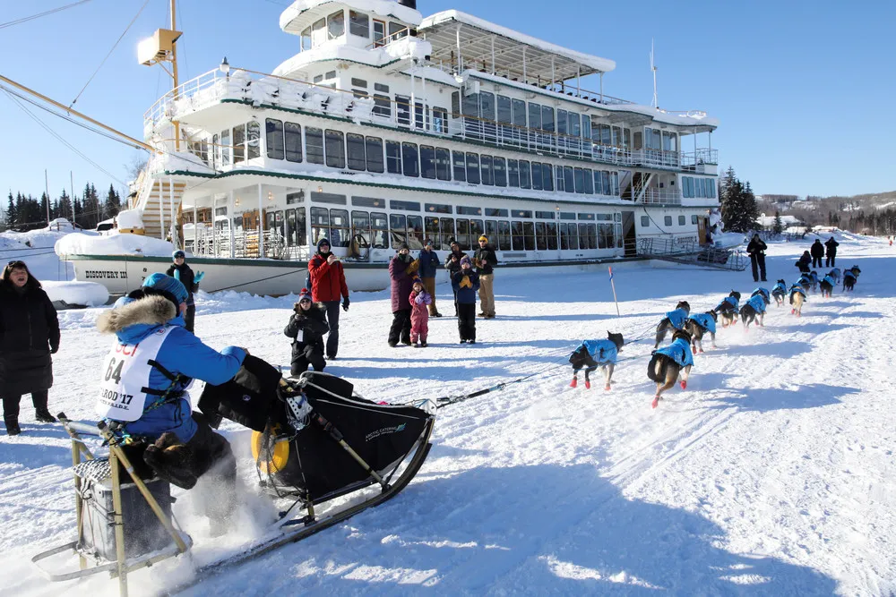 Iditarod Dog Race 2017