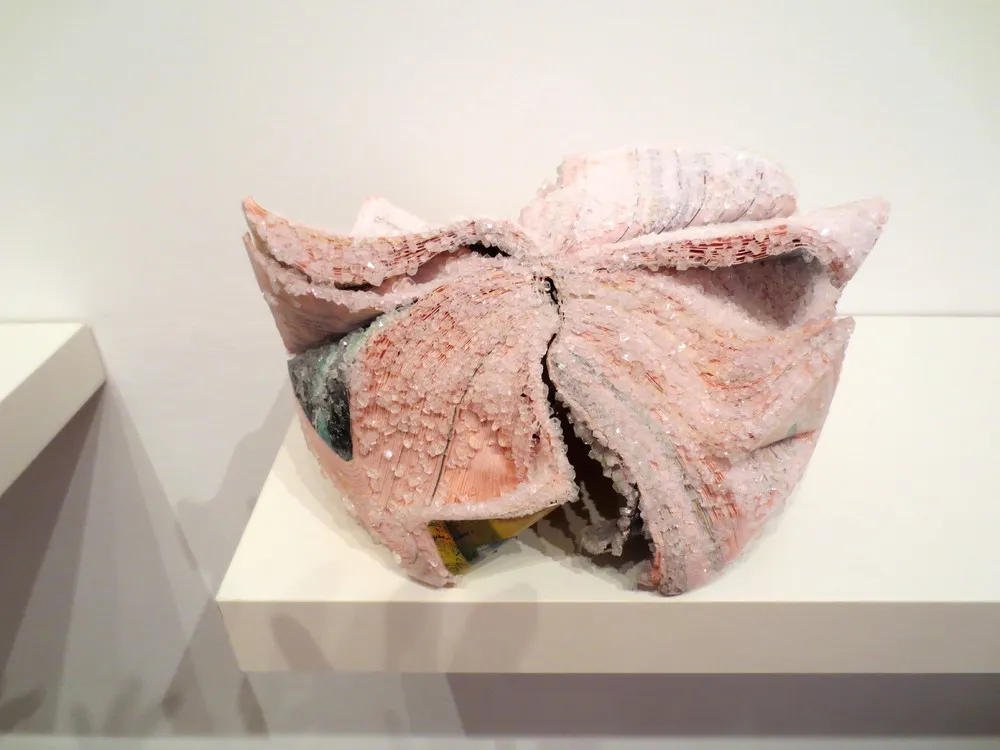 Grows Crystals on Books by Alexis Arnold