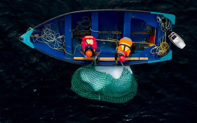 Blair Baker and Taylor Lindsorn snare a chunk of iceberg on June 29, 2019, on Bonavista Bay in Newfoundland, Canada. Iceberg water, considered pure, is now marketing for a unique sector of high-end products. “We are trying to target the niche market for healthy foods and products”, says former fisherman Edward Kean, an iceberg hunter. For 20 years, he has been cruising the North Atlantic aboard his fishing boat to retrieve chunks of ice to melt and sell the water to local traders. Customers include manufacturers of vodka, cider, liquor, beer, cosmetics, but also companies that bottle water. (Photo by Johannes Eisele/AFP Photo)