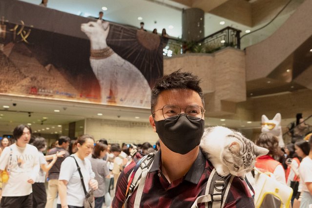 A man carries his cat while attending cat night at the Shanghai Museum in Shanghai on July 27, 2024. Tickets sold out for Shanghai Museum's first 'cat night' at its ancient Egypt exhibition, which saw customers allowed to bring their pet cats to enjoy the show. (Photo by Agatha Cantrill/AFP Photo)