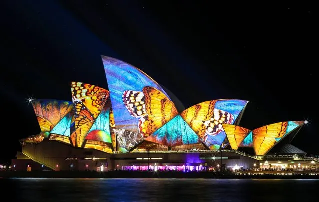 “Butterflies in the night sky”. Whilst visiting Sydney VIVID festival 2014, I managed to score myself a front row spot at the edge of Sydney Harbor. With a lot of patience and a lot of exposure time, the wait was well worth it in the end when I captured this moment at just the right time. Photo location: Sydney, Australia. (Photo and caption by Rachel Kutzner/National Geographic Photo Contest)