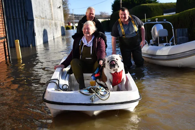 Reggie the dog is rescued with a boat from flooding at the Little Venice Country Park and Marina in Maidstone, southeast of London, on December 23, 2019 after flooding following heavy rain. Flood warnings remain in place across England. (Photo by Ben Stansall/AFP Photo)