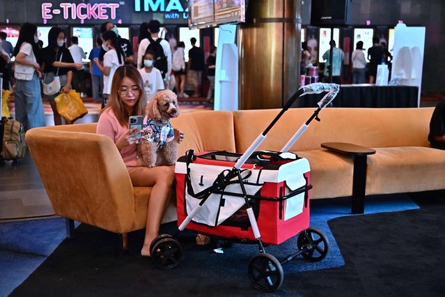 A dog owner waits to see a movie on the opening day of the pet-friendly i-Tail Pet Cinema opening at Major Cineplex, inside Mega Bangna shopping mall in Samut Prakan on June 10, 2023. (Photo by Lillian Suwanrumpha/AFP Photo)