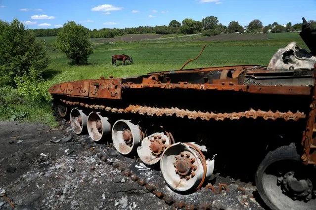 A horse grazes beside a destroyed Russian tank, as Russia's attack on Ukraine continues, in Chupakhivka, Ukraine on May 24, 2022. (Photo by Ivan Alvarado/Reuters)