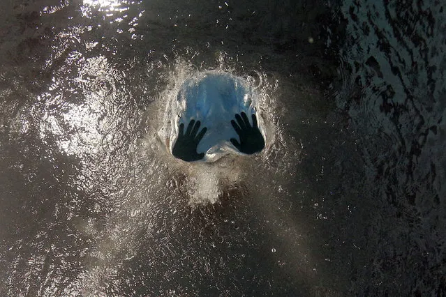 Giovanni Tocci of Italy competes in the Men's Diving 1m Springboard preliminary round of the FINA Swimming World Championships 2017 in Duna Arena in Budapest, Hungary, 14 July 2017. (Photo by Stefan Wermuth/Reuters)