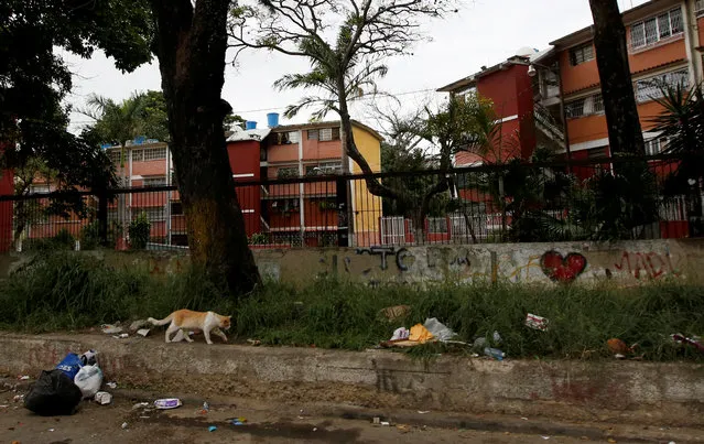 Buildings are seen from a street in Caracas, Venezuela, June 21, 2016. (Photo by Mariana Bazo/Reuters)