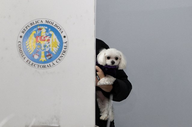 A voter holds a dog while standing in a voting booth at a polling station, as the country holds a presidential election and a referendum on joining the European Union, in Chisinau, Moldova on October 20, 2024. (Photo by Vladislav Culiomza/Reuters)