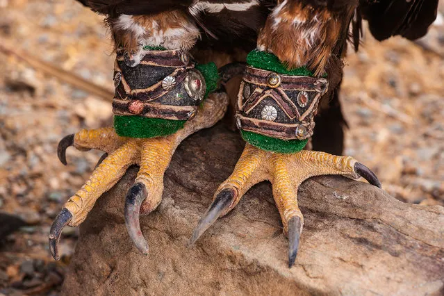 An eagle’s legs are decorated with elaborate handcrafted ornaments. (Photo by Tariq Zaidi/The Washington Post)