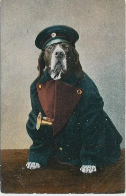 Dog on postcard, 1910