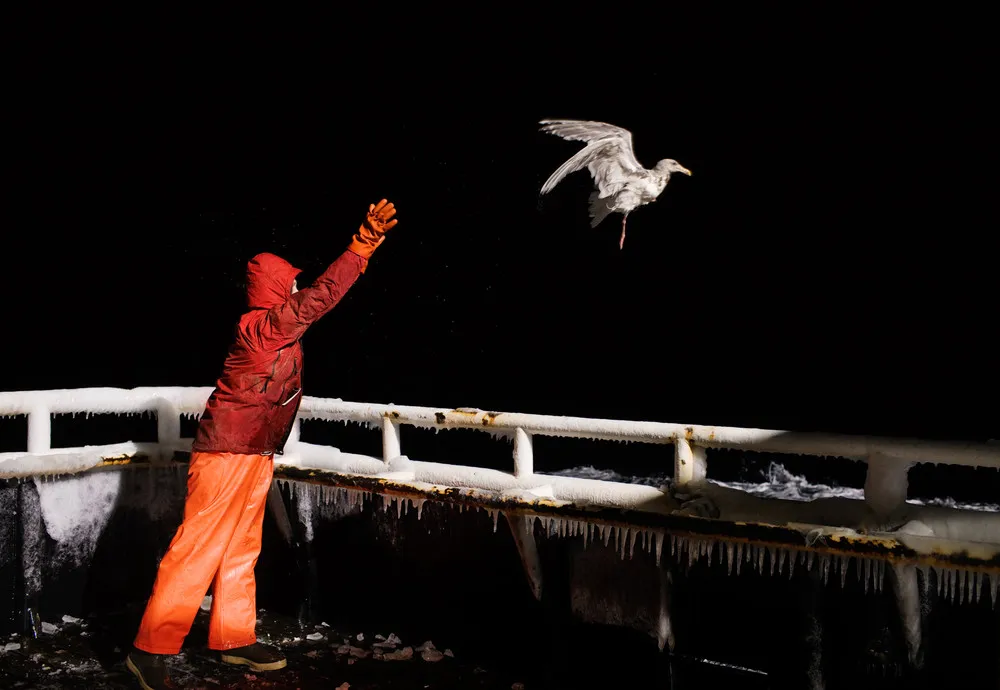 Daily Life of Fishermen on Alaska's Bering Sea