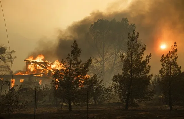 A wildfire burns a house as the sun sets over Cajon Junction, California, USA, 16 August 2016. (Photo by Eugene GarciaEPA)