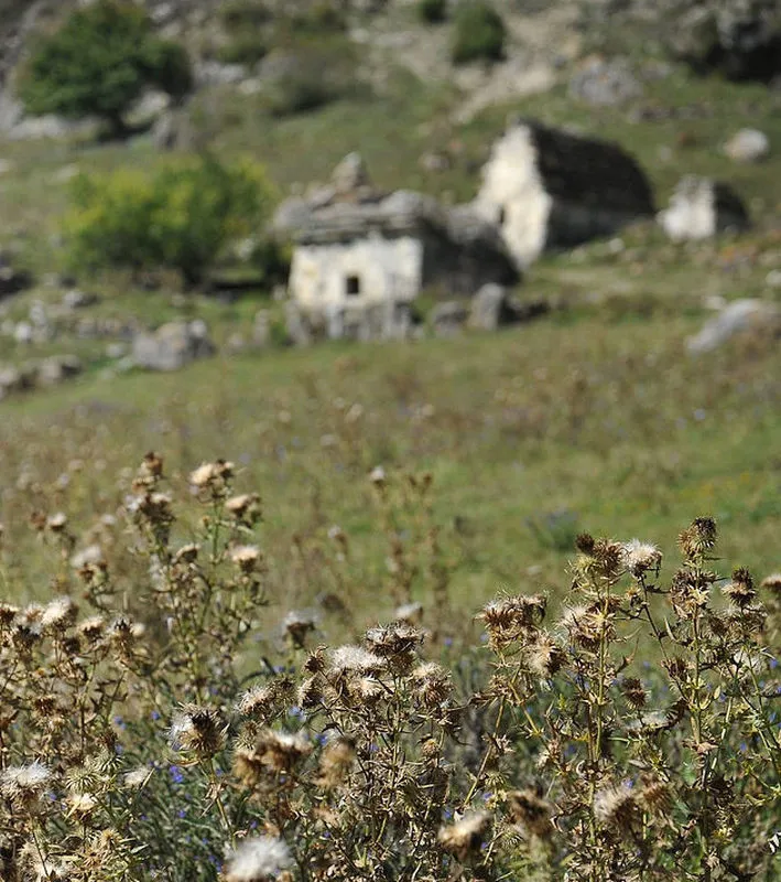 City Of The Dead In Dargavs, North Ossetia