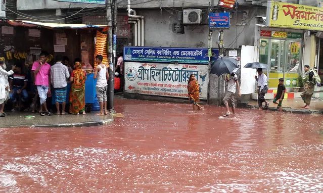 In this Tuesday, September 13, 2016 photo, people wade past a road turned red after blood from sacrificial animals on Eid al-Adha mixed with water from heavy rainfall in Dhaka, Bangladesh. Authorities in Dhaka had assigned several places in the city where residents could slaughter animals, but the heavy downpours Tuesday meant few people could use the designated areas. (Photo by AP Photo/Stringer)