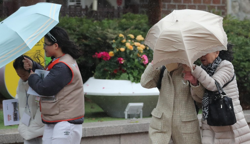 Some Photos: Under an Umbrella