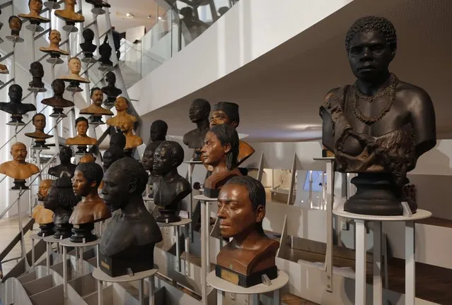 A gallery of busts from the 19th century is seen during a press visit at the Museum of Mankind (Musee de l'Homme) in Paris, France, October 14, 2015. The museum, dedicated to anthropology, ethnology and prehistory of human evolution, will open to the public this weekend after six years of renovation. (Photo by Jacky Naegelen/Reuters)