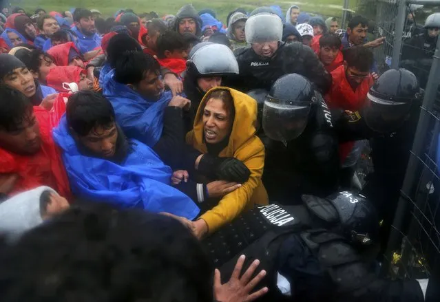 Slovenian policemen keep order as migrants attempt to board the first bus after opening the border with Slovenia in Trnovec, Croatia October 19, 2015. Some 5,000 migrants reached Slovenia on Monday from Croatia, with another 1,200 on their way by train, the Slovenian interior ministry said, accusing Croatia of ignoring efforts to contain the flow. (Photo by Antonio Bronic/Reuters)