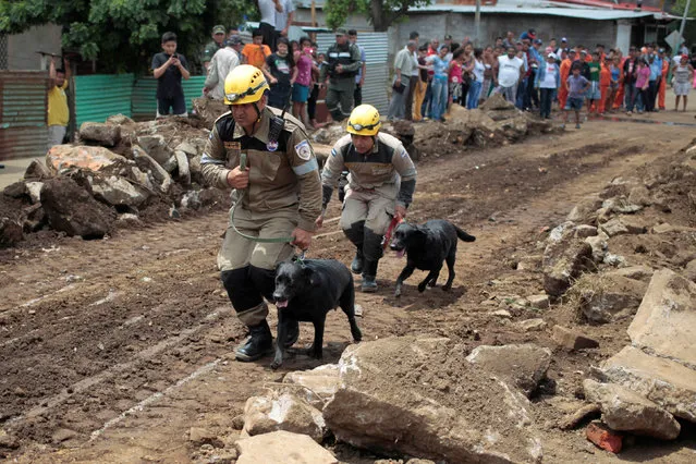 Volunteer firefighters and their dogs participate in a national multi-hazard drill organized by the National System for Prevention, Mitigation and Attention to Disasters (SINAPRED), in the 30 de Mayo neighborhood in Managua, Nicaragua, September 26, 2016. (Photo by Oswaldo Rivas/Reuters)