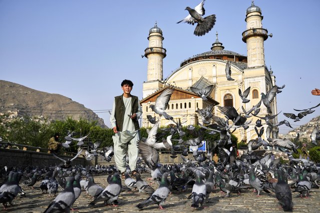 Pigeons fly outside the Shah-Do Shamshira Mosque during the Eid al-Adha prayer in Kabul, Afghanistan, Saturday, June 7, 2025. (Photo by Ebrahim Noroozi/AP Photo)