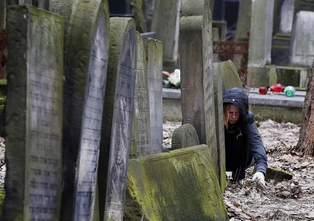 A volunteer helps to clean a Jewish cemetery in Warsaw, on April 14, 2013. Volunteers are answering a call by Polish officials to help clean the Okopowa Street Jewish Cemetery as the city launches a month of commemorative events marking the 70th anniversary of the Warsaw Ghetto Uprising. The events come amid a growing inclination in Poland to celebrate the country’s Jewish history. (Photo by Czarek Sokolowski/Associated Press)