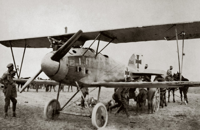 Australian troops with a captured German Albatross D.III fighter, Palestine, 7th March 1918. (Photo by Topical Press Agency/Hulton Archive/Getty Images)