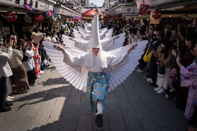 Dancers perform during the Shirasagi-no Mai, or White Heron Dance, at the Sensoji Temple on April 09, 2023 in Tokyo, Japan. (Photo by Tomohiro Ohsumi/Getty Images)