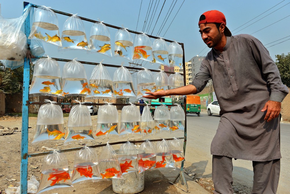 A Look at Life in Pakistan