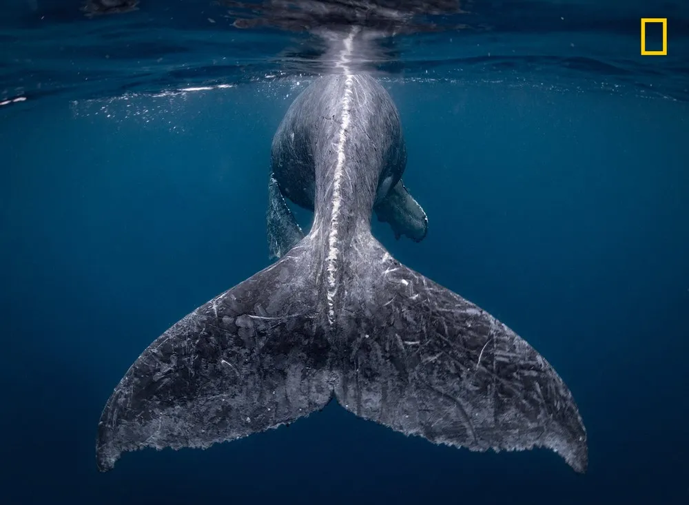 2018 National Geographic Travel Photographer of the Year Winners