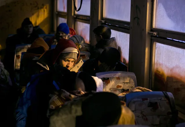 Migrants sit in a compartment of a passenger train in Presevo, close to the Serbian border with Macedonia, 300 kilometers southeast of Belgrade, Serbia, Monday, January 18, 2016. Bracing cold temperatures and snow storms hundreds of migrants continue to arrive daily into Serbia in order to register and continue their journey further north towards Western Europe. (Photo by Visar Kryeziu/AP Photo)