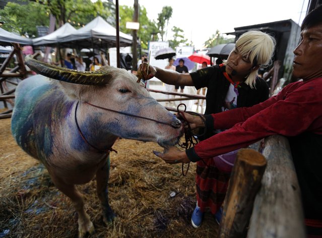 Thai artist Maitree Siriboon (R) paints a buffalo mother named 'Riam' during the “Cool Isan!” event as part of the Isan Spirit Festival at ChangChui, the Aircraft Flea Market in Bangkok, Thailand, 28 April 2018. The buffalo painting with India's holi color is live performance under the “Save Thai Buffalo” concept as part of Isan Spirit Festival for to promote tourism in the country's northeast or “Isan” (as in Thai). (Photo by Narong Sangnak/EPA/EFE)