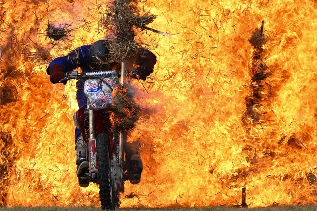 Moto Stunts International put on a display showing a motorcycle riding through fire, on August 24, 2023 in West Bay, Dorset. The Melplash Agricultural Society Show, held in West Dorset, is a prominent agricultural exhibition in the South West region. Besides providing a platform for trade, visitors can also witness animal judging and gain valuable insights into food production and farming practices. (Photo by Finnbarr Webster/Getty Images)