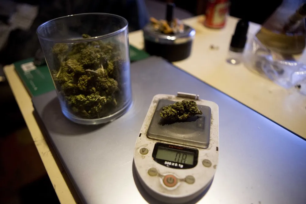 Homegrown, Gourmet Pot on the Rise in Mexico