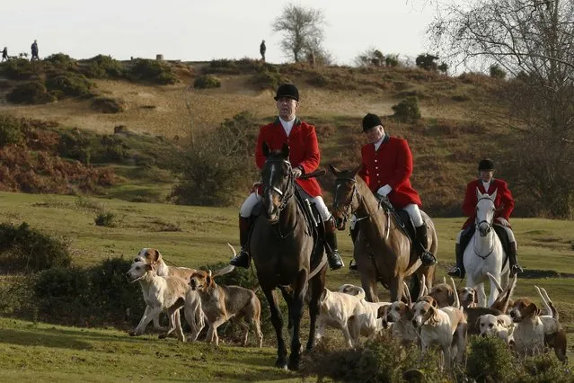 Members of the New Forest Hunt gather at Boltons Bench for the annual Boxing Day hunt in Lyndhurst, southern England, Britain December 26, 2016. (Photo by Luke MacGregor/Reuters)