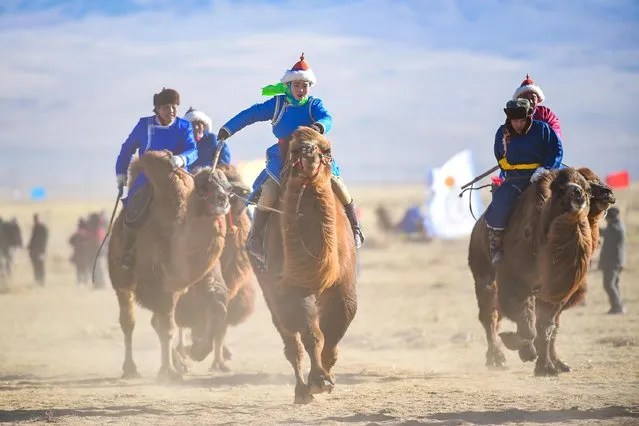 Herders taking part in a camel race during a three-day international festival in Bayannur, Inner Mongolia on December 1, 2018. (Photo by Alamy Live News)