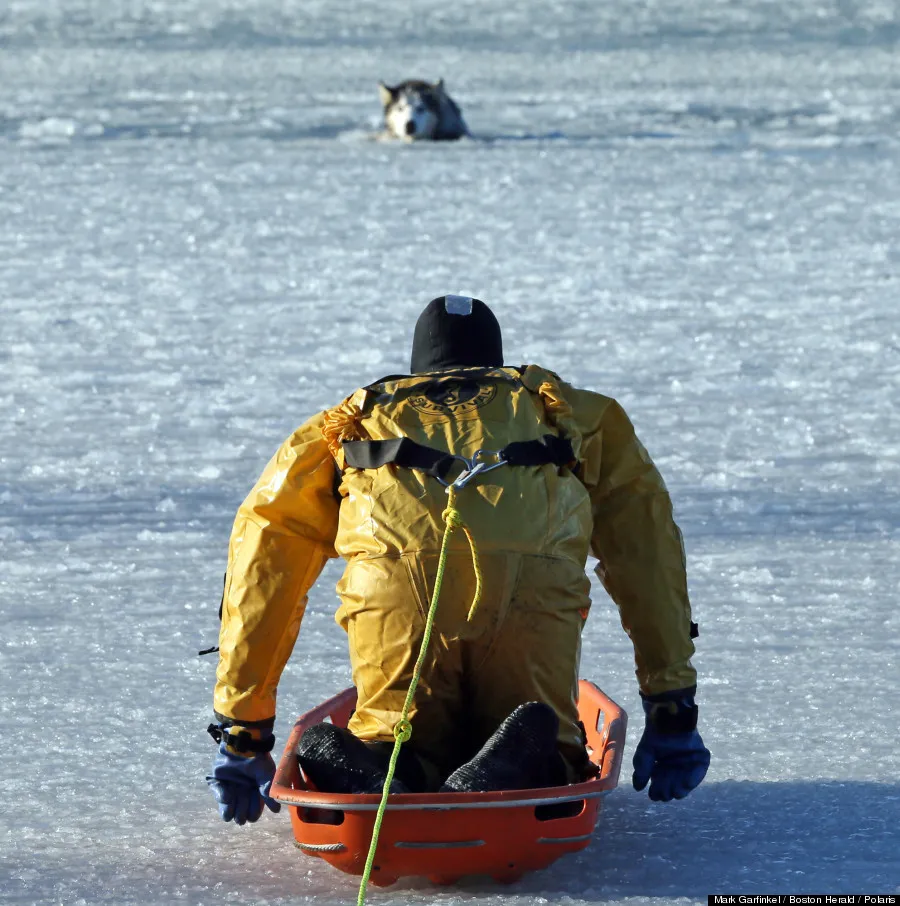 Boston Firefighter Saves Dog From Icy Harbor