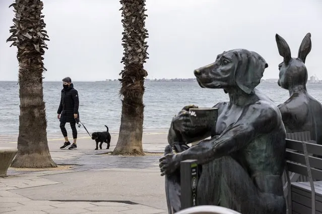 A person walks a dog along St. Kilda foreshore in Melbourne, Monday, August 16, 2021. Melbourne reported 22 new infections on while the state Premier Danial Andrews said Australia' largest city after Sydney was at a “tipping point” in its battle to stamp out all infections. (Photo by Daniel Pockett/AAP Image via AP Photo)
