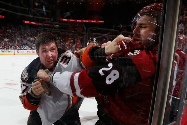 Nick Ritchie of the Anaheim Ducks fights with Jarred Tinordi of the Arizona Coyotes during the third period of the NHL game at Gila River Arena on March 3, 2016 in Glendale, Ariz. The Ducks defeated the Coyotes 5-1. (Photo by Christian Petersen/Getty Images)