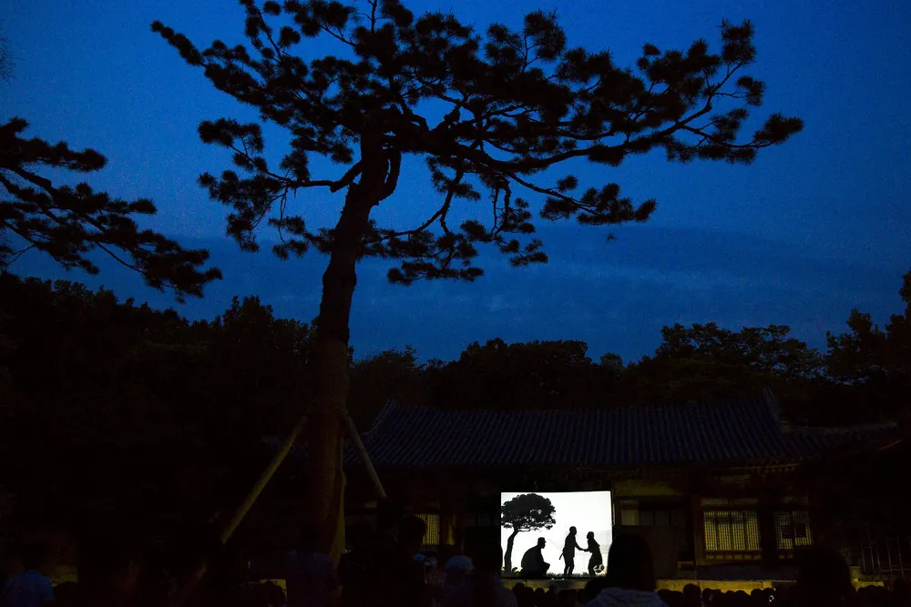 Simply Some Photos: Silhouettes