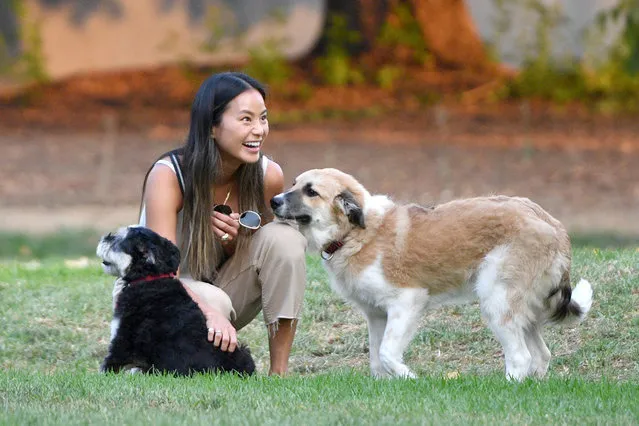 Jamie Chung and her husband Bryan Greenberg are spotted out together for the first time since welcoming their twins in October. The Lovecraft Country actress, 38, and her husband were pictured at a dog park before heading to Trader Joe's for some grocery shopping in Los Angeles on November 10, 2021. (Photo by The Image Direct)