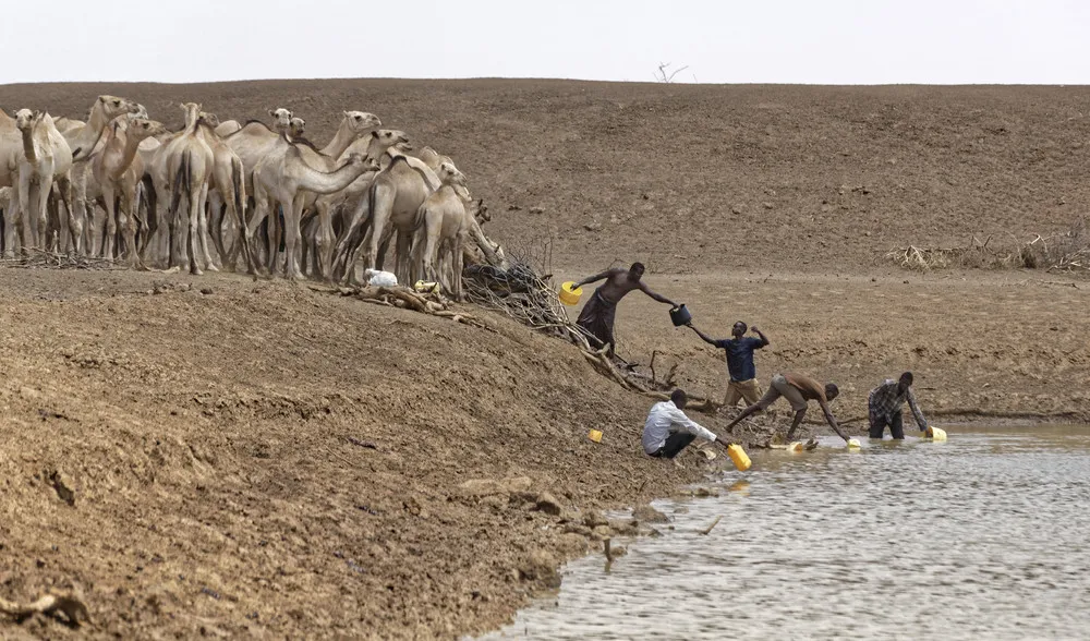 Drought in Kenya