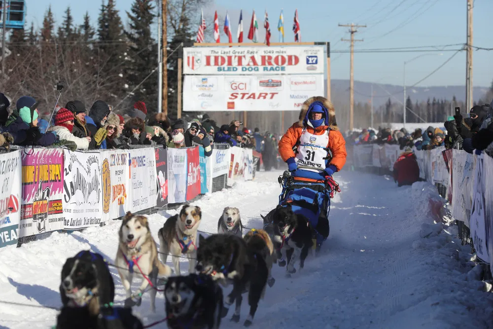 Iditarod Dog Race 2017